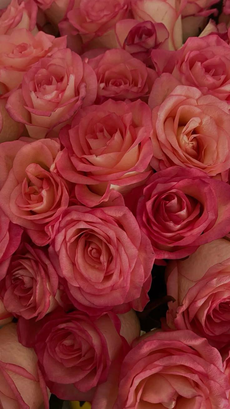 Business meeting space with precisely timed floral arrangements that stay elegant throughout the workday