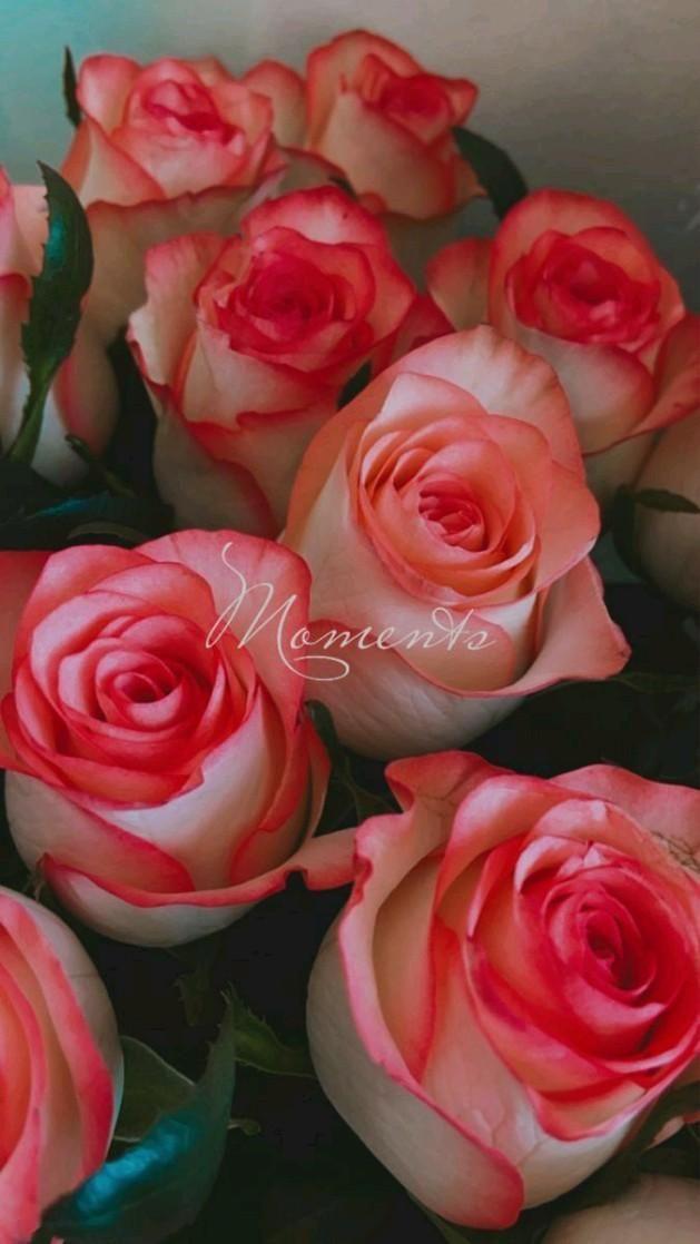 Compound Studio Ember workshop space where corporate flower arrangements are designed and prepared for business delivery